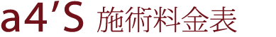a4'S 施術料金表